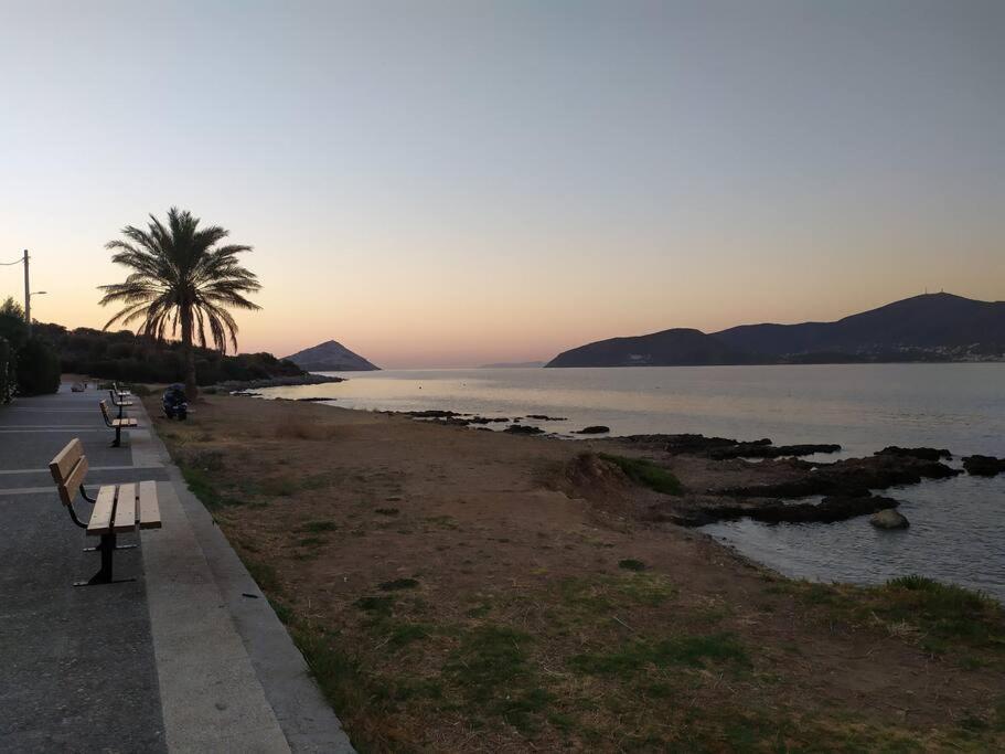 Modern Studio Next To The Sea! Porto Rafti Bagian luar foto